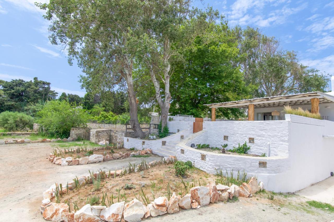 Villa Arethousa House Drios